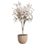 sereh round 47cm argilla fredda